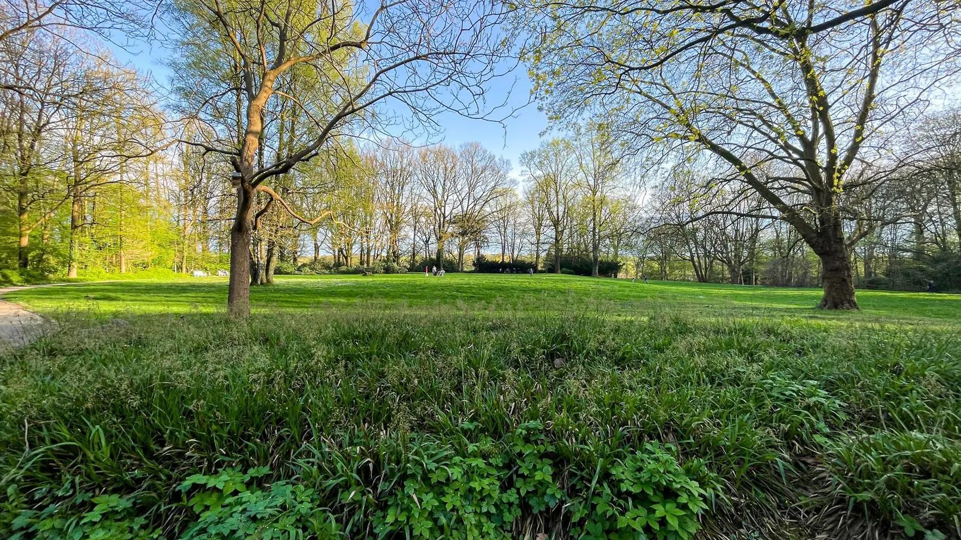ברמן Landhaus Beim Knoops Park דירה